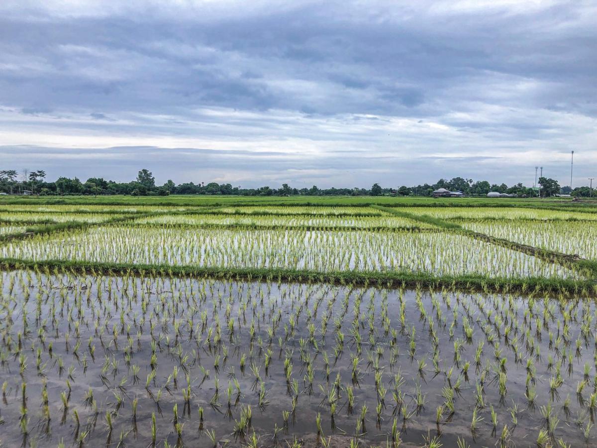 9号度假屋 San Klang 外观 照片
